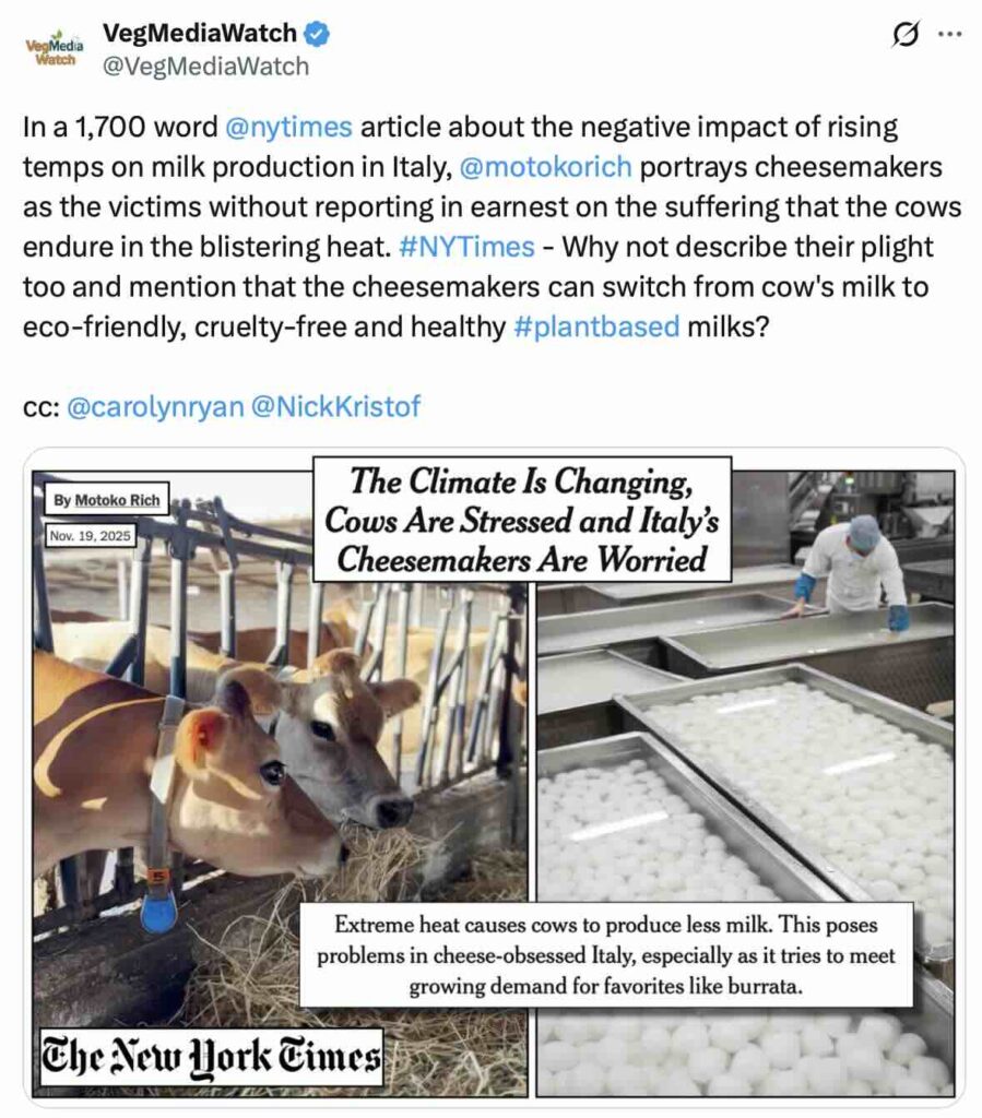 The NY Times reports that cheesemakers, not cows, are the victims of the sweltering heat in Italy that is reducing milk production
